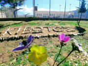 Η Ασφάλεια Χίου πραγματοποίησε έλεγχο στις εγκαταστάσεις της ΜΚΟ “Κιβωτός του Κόσμου” στο νησί, γνωστής ως “Κιβωτός του Αιγαίου”