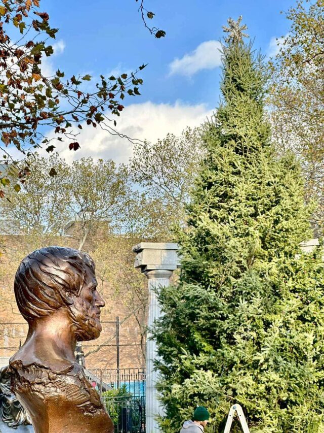 FB_IMG_1669778816609