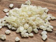 Χίος: Ξεκίνησαν οι έρευνες για την παραγωγή ορεινής μαστίχας