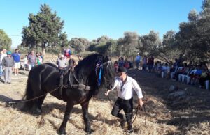 Ώρα για «αλώνισμα» στη Μονή του δήμου Μαλεβιζίου στο Ηράκλειο Κρήτης