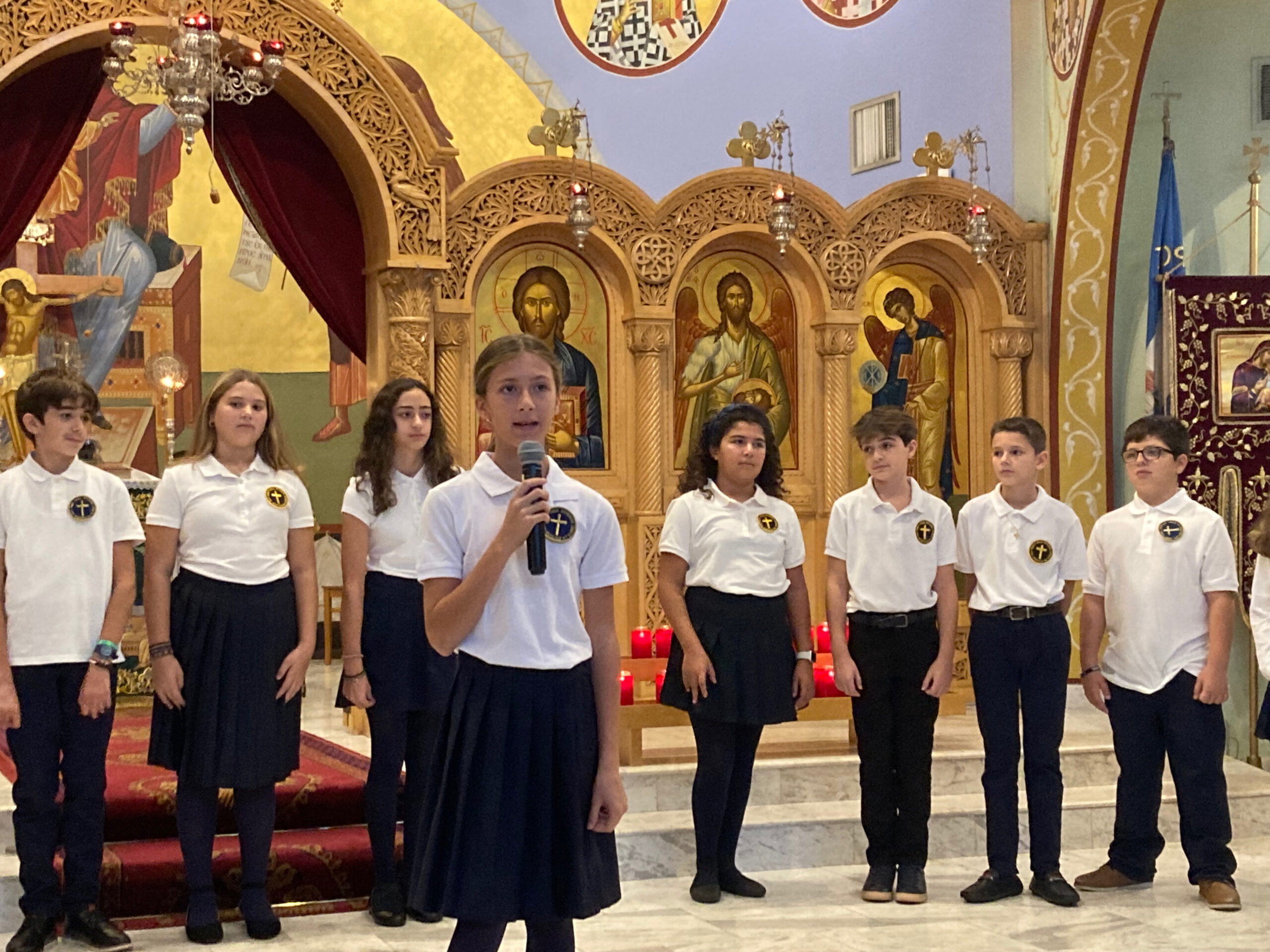 MSA-MXB23J28-N1-Eortasmos-M8605