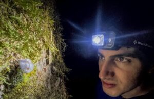 Ο Έλληνας ερευνητής που συνέβαλε στον εντοπισμό της έχιδνας του Ατένμπορο