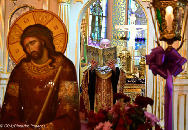 53692021010_68d6ff0154_c