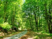 Άνοιξη στο χρυσοφόρο Παγγαίο, το βουνό των θρύλων και των παραδόσεων