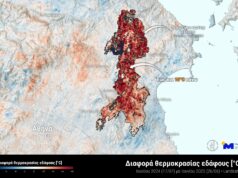 Αυξάνονται οι θερμοκρασίες εδάφους λόγω απώλειας δασικής βλάστησης
