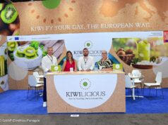 Παρουσίαση της δράσης KIWILICIOUS και του ελληνικού ακτινιδίου στη Νέα Υόρκη